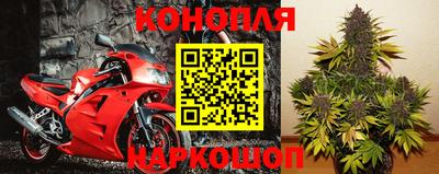 ECSTASY Кингисепп