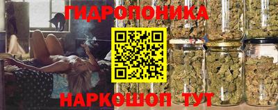 гидра Конаково