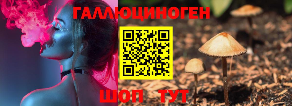 Ярославль  Галлюциногенные грибы Cubensis  Вход с VPN 